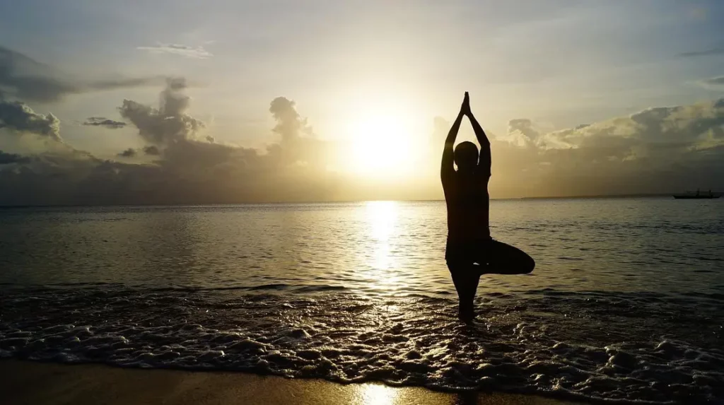 meditação para gratidão